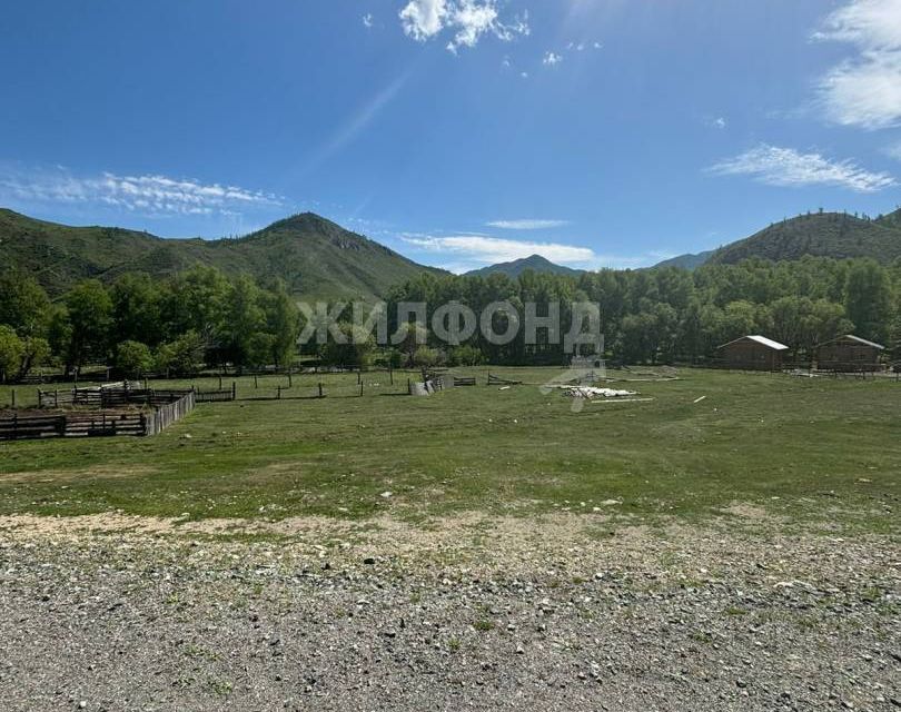 земля р-н Онгудайский с Купчегень ул Трактовая фото 4