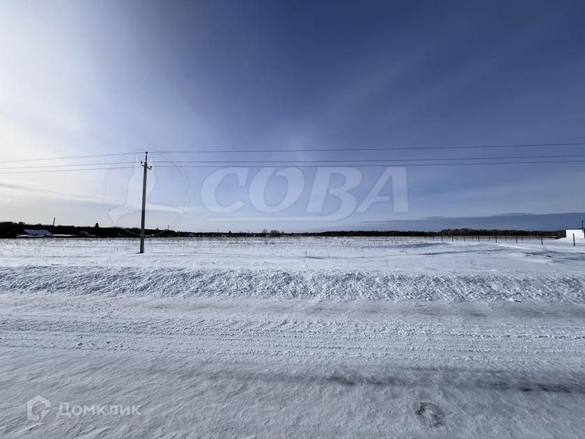 земля р-н Тюменский ДНТ Дачи Хюгге фото 3