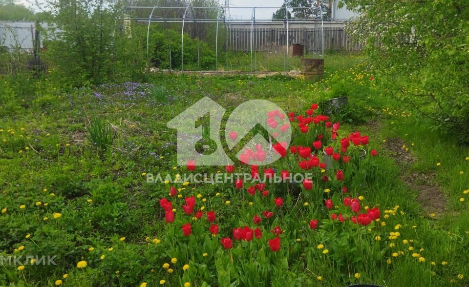 земля р-н Новосибирский снт Восход 54 фото 5