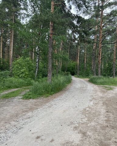 р-н Металлургический ул Тургоякская фото