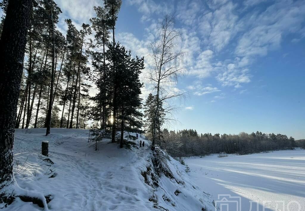 дом р-н Спасский д Папушево ул Дачная 82 Лакашинское сельское поселение, Ижевское фото 31