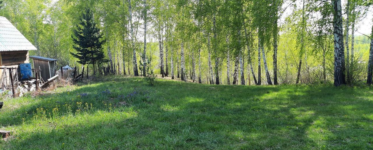 земля р-н Новосибирский снт Простор Раздольненский сельсовет, Сокур фото 8