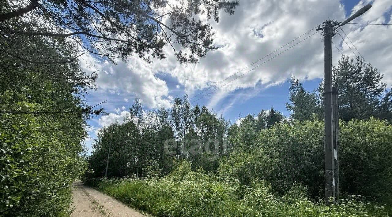 земля городской округ Талдомский снт тер.Сорокино фото 2