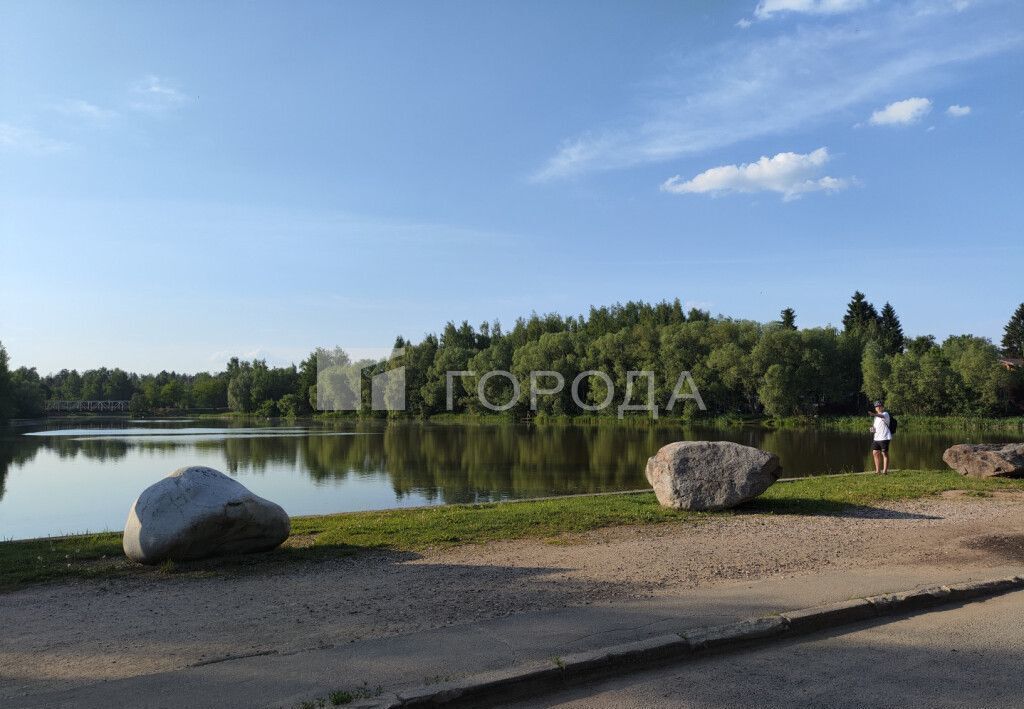 земля городской округ Красногорск с Николо-Урюпино снт Никольское 109, Красногорск фото 15