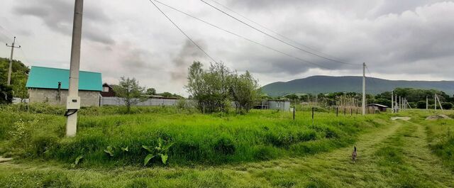 муниципальное образование Новороссийск, садоводческое товарищество Марушкин Хутор, 82 фото