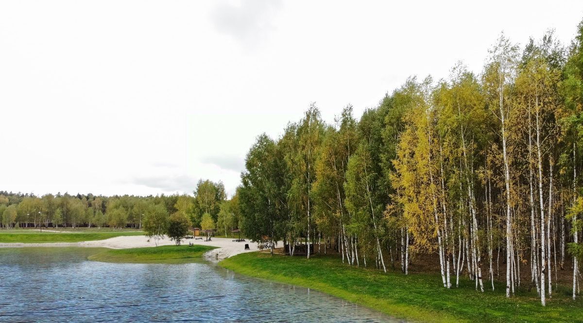 земля городской округ Ступино с Мышенское фото 17