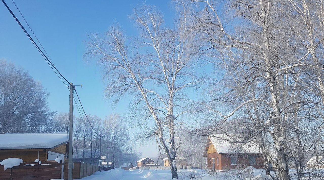 земля р-н Новосибирский с Марусино Криводановский сельсовет фото 12