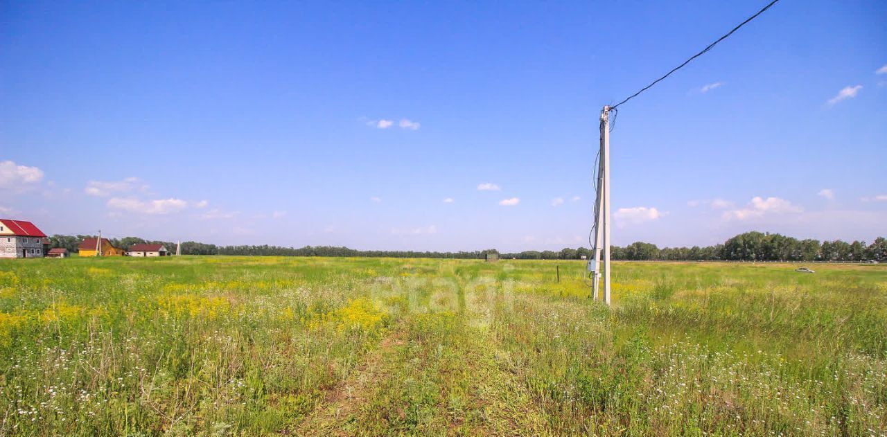 земля р-н Павловский п Молодежный фото 4