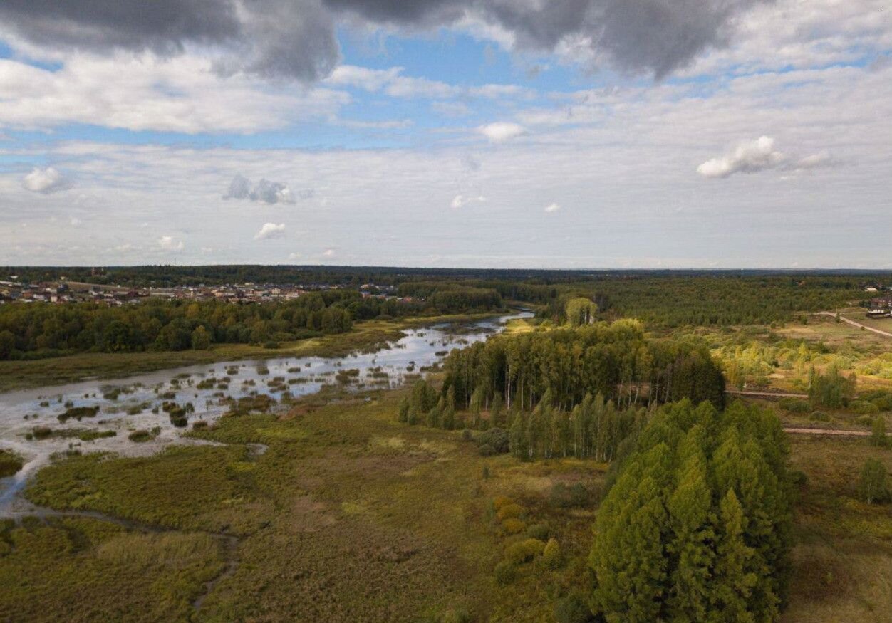 земля городской округ Истра д Алёхново ТСЗУ Толстиково, 50, Истра фото 3