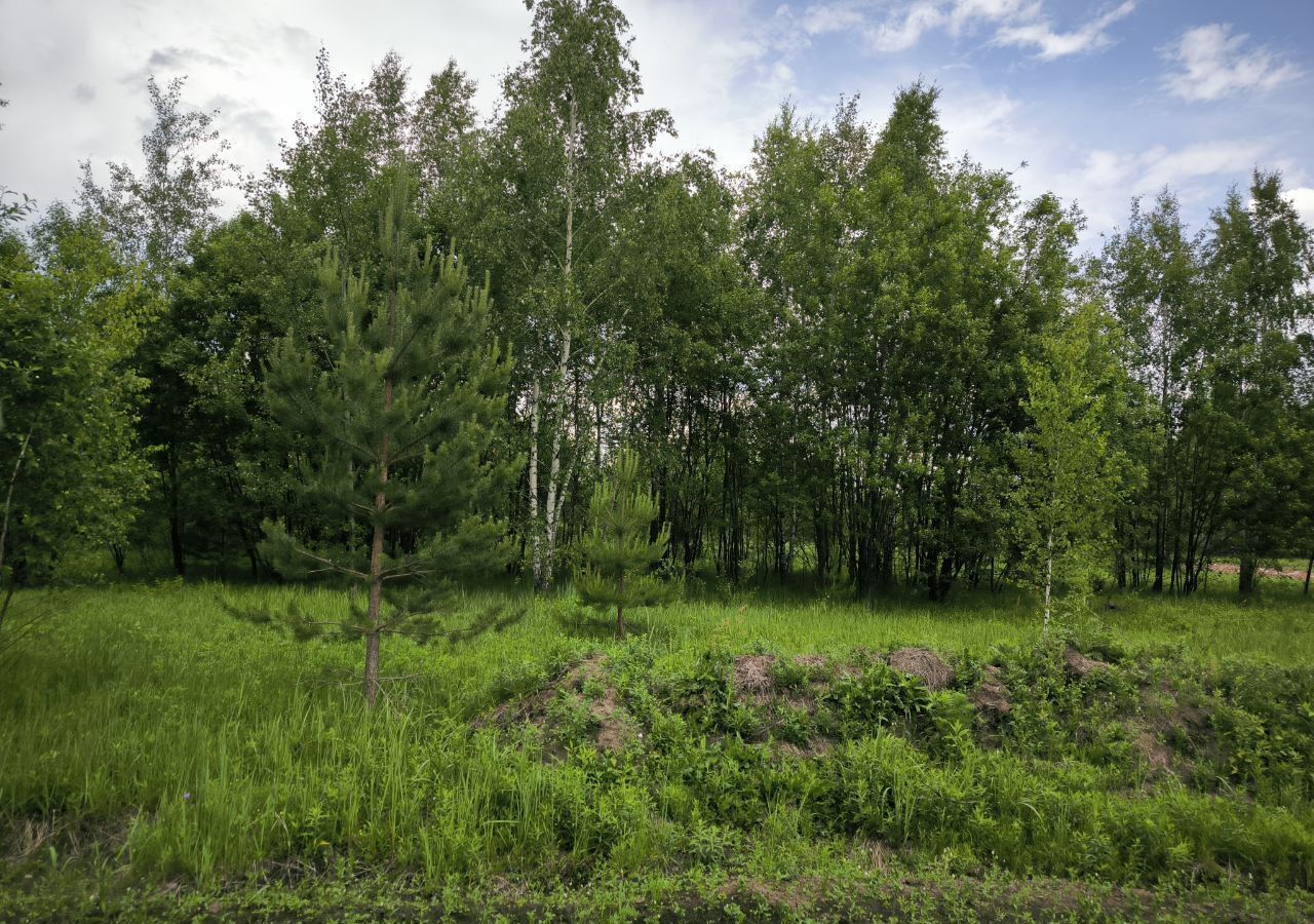 земля городской округ Раменский 51 км, д. Сидорово, Егорьевское шоссе, Электроизолятор фото 2