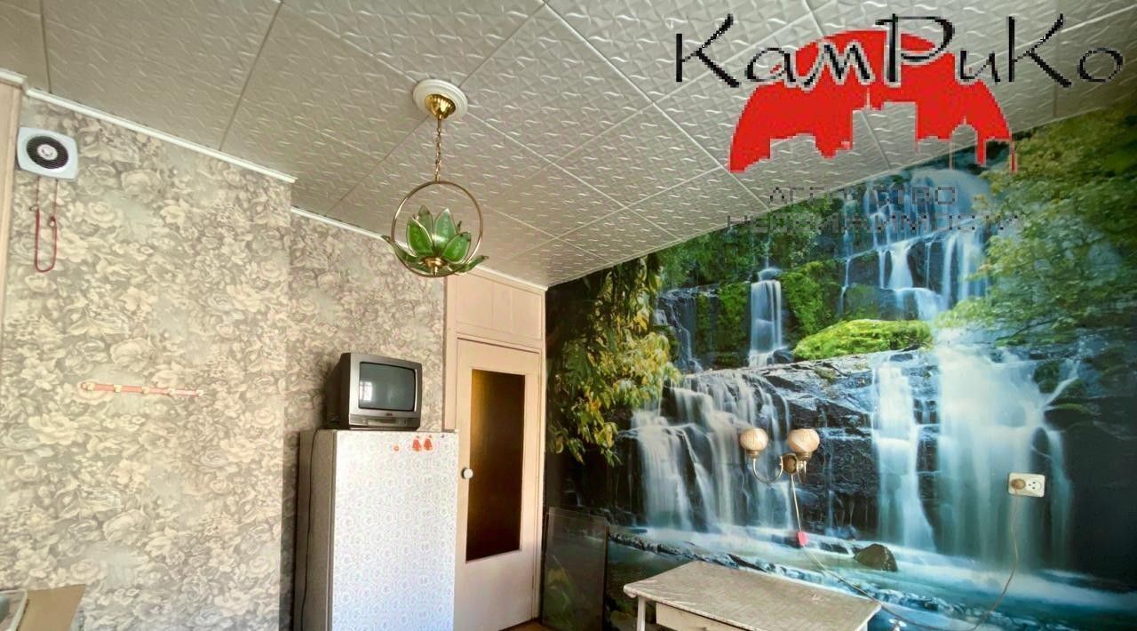 квартира г Петропавловск-Камчатский ул Виталия Кручины 4 фото 1