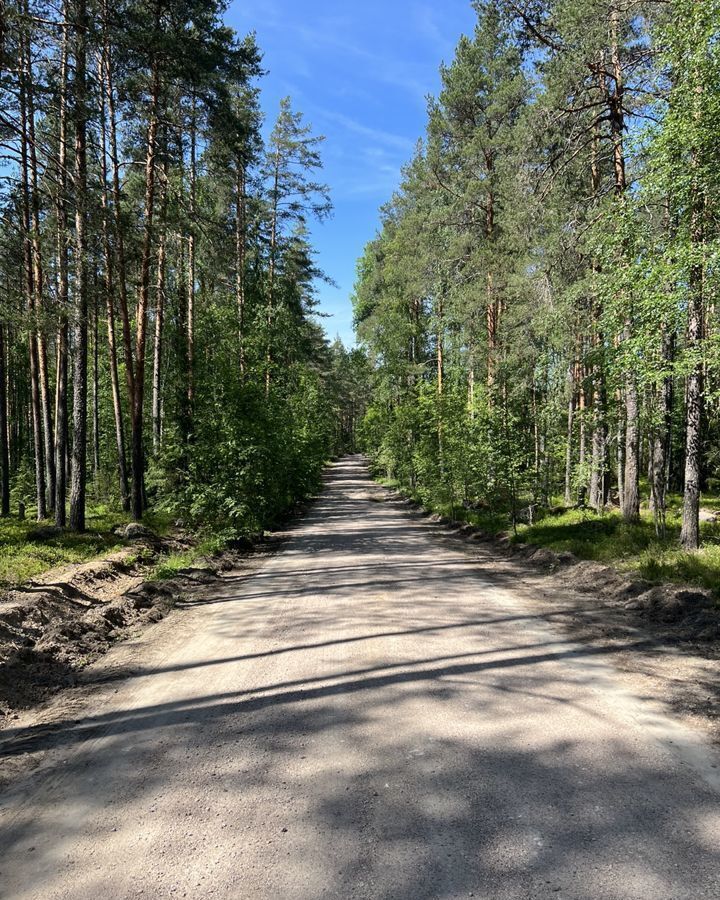 земля р-н Выборгский п Никифоровское Каменногорское городское поселение, Каменногорск фото 7