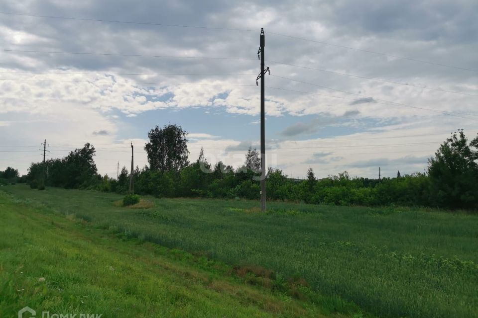 земля р-н Тамбовский село Красносвободное фото 4