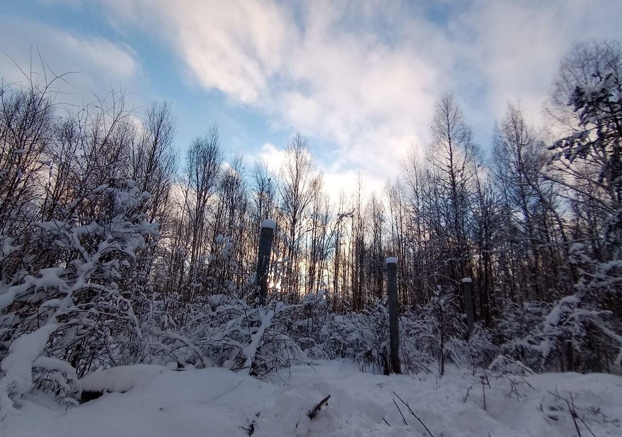 земля городской округ Сергиево-Посадский 3, Богородское, садовое товарищество Меркурий фото 8