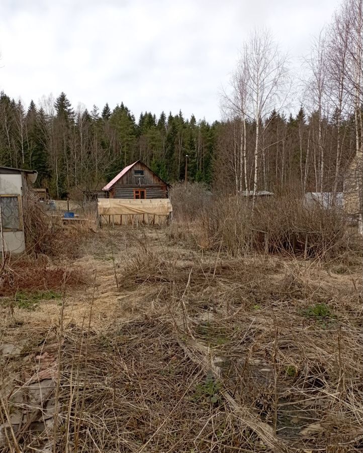 земля р-н Выборгский п Советский пр-д Новосёлов Советское городское поселение, СНТ Берёзовая Долина фото 1