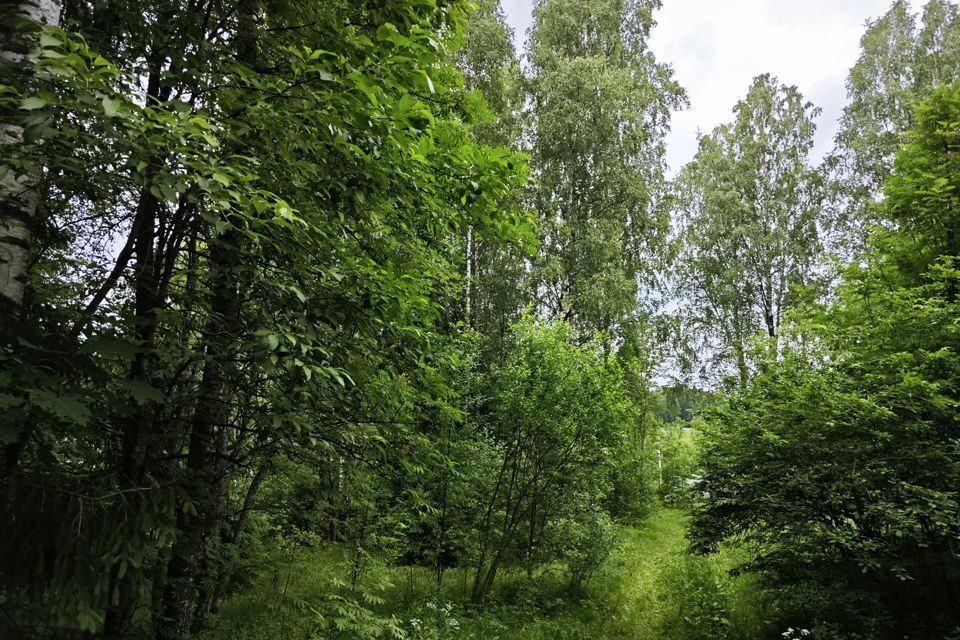 земля р-н Всеволожский д Сарженка ул Лесная фото 4