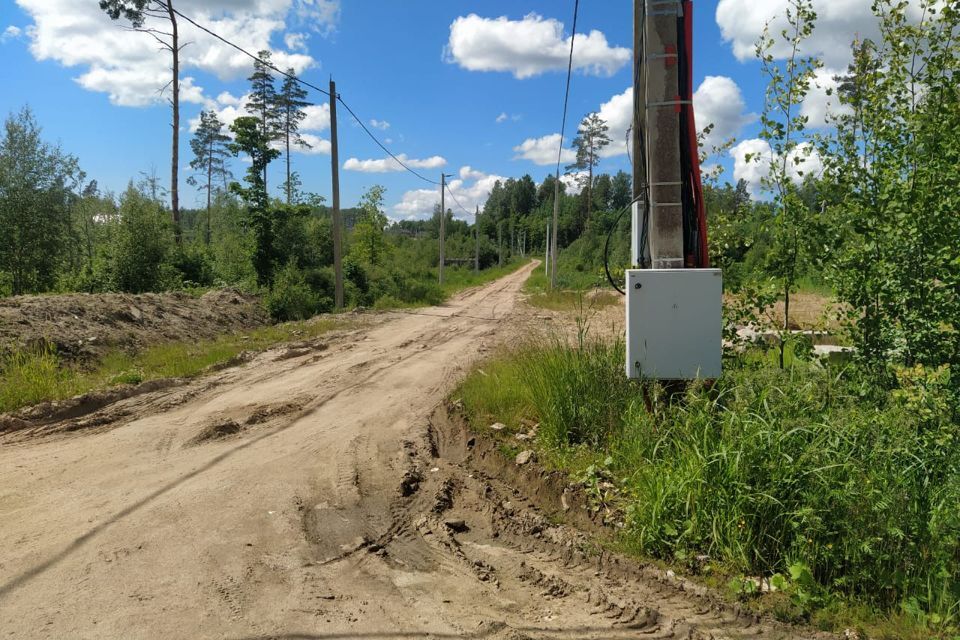 земля р-н Всеволожский коттеджный посёлок Полесье, Берёзовая улица фото 2