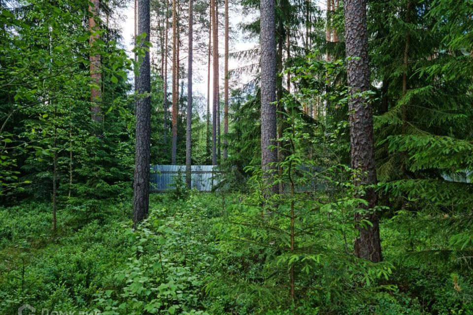 земля р-н Гатчинский городской посёлок Вырица фото 3