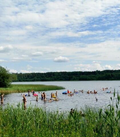 село Орлино фото