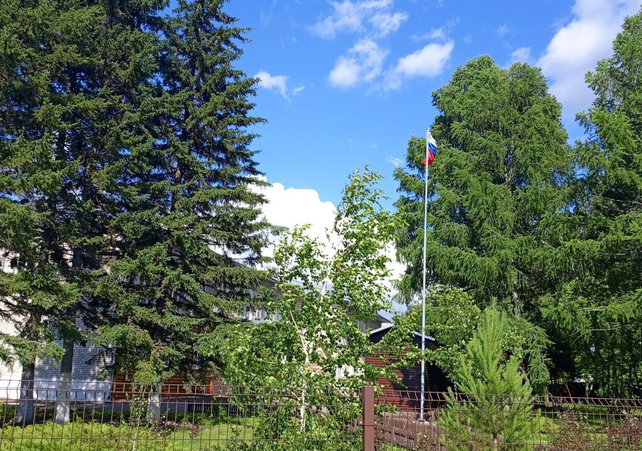 земля г Барнаул снт Пригородное Барнаул, Магистральная ул., 326, Власиха фото 2