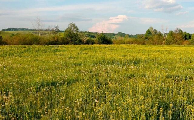 Глебковское сельское поселение, Рыбное фото