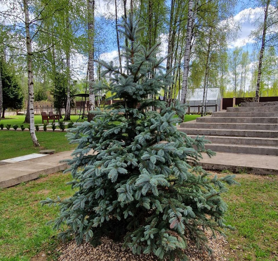 дом городской округ Рузский п Тучково 63 км, садовое товарищество Царское Село, Можайское шоссе фото 15