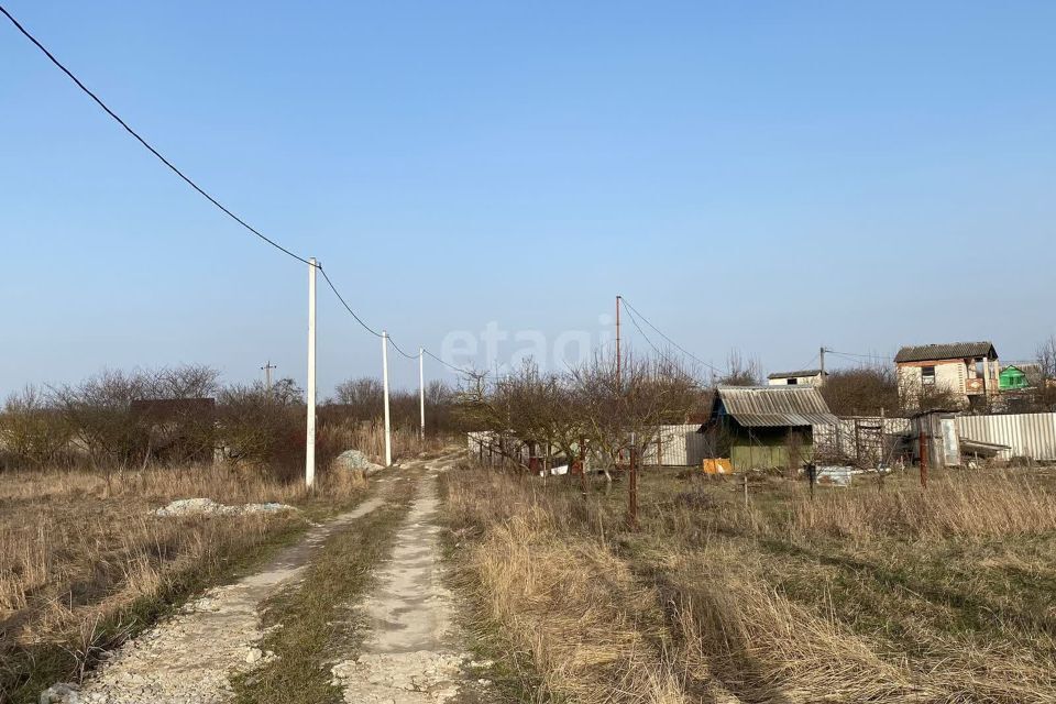 земля р-н Белгородский СНТ Родничок фото 1