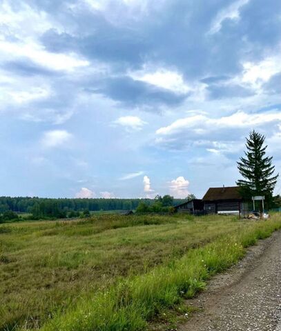 ул Ленина Шабуровское сельское поселение, Свердловская область, Щелкун фото