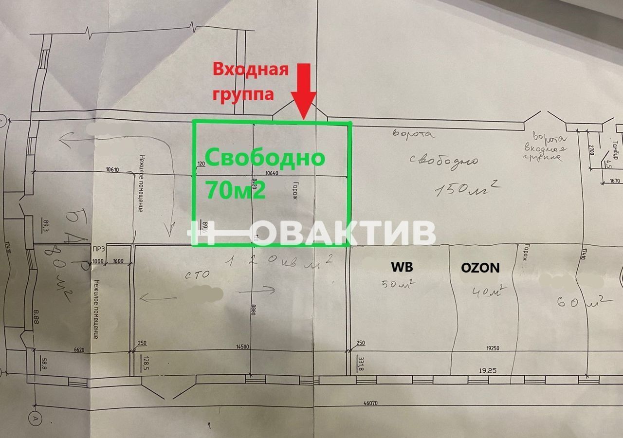 свободного назначения р-н Бийский с Лесное ул Совхозная 24н Бийск фото 2