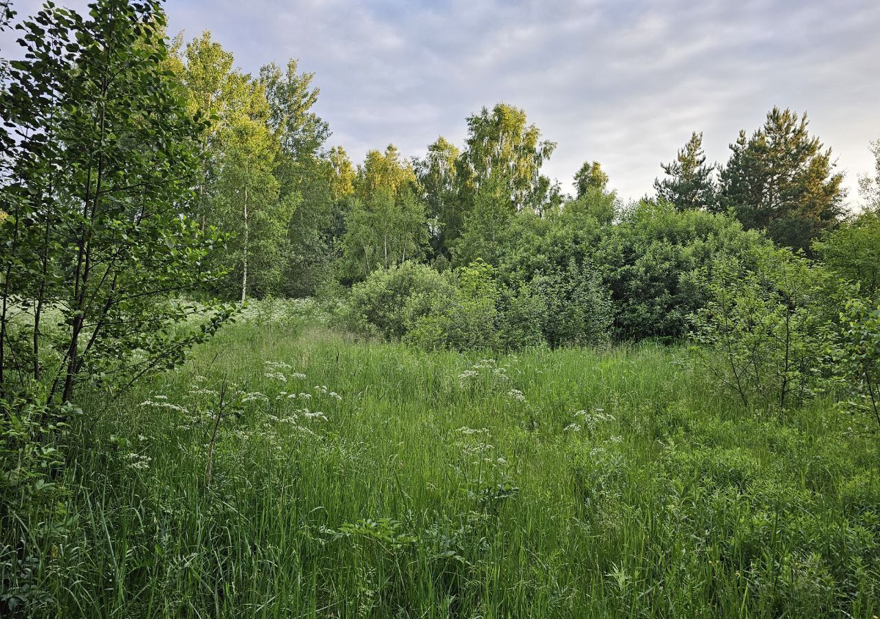 земля городской округ Богородский д Карабаново ул Луговая Ногинск фото 10