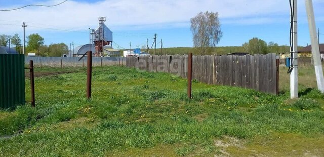 земля п Речной ул Шоссейная фото