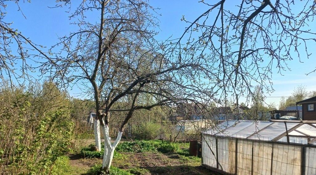 земля р-н Всеволожский снт Рабочий поселок 2 Свердловское городское поселение, Пролетарская фото 4