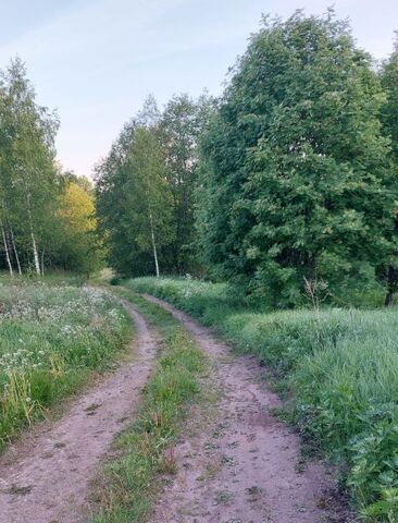 земля д Малая Ящера Мшинское с/пос фото