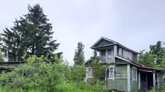 снт Приозерное Синявинское городское поселение фото