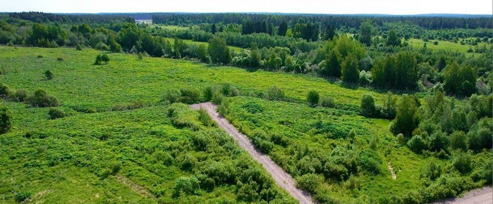 земля р-н Выборгский п Победа Рощинское городское поселение, Коттеджный поселок Победа хут фото 6