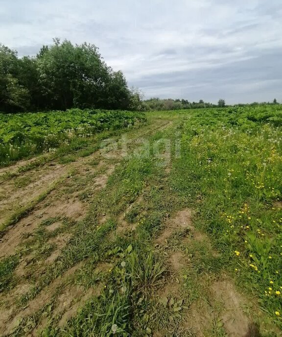 земля р-н Сыктывдинский с Выльгорт муниципальное образование Выльгорт фото 3