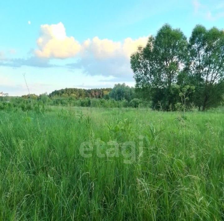 земля р-н Новооскольский с Ольховатка фото 3