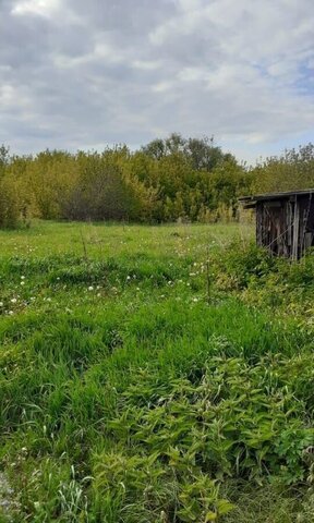 земля с Новое Тарбеево ул Центральная 28 Устье, Мичуринский муниципальный округ фото