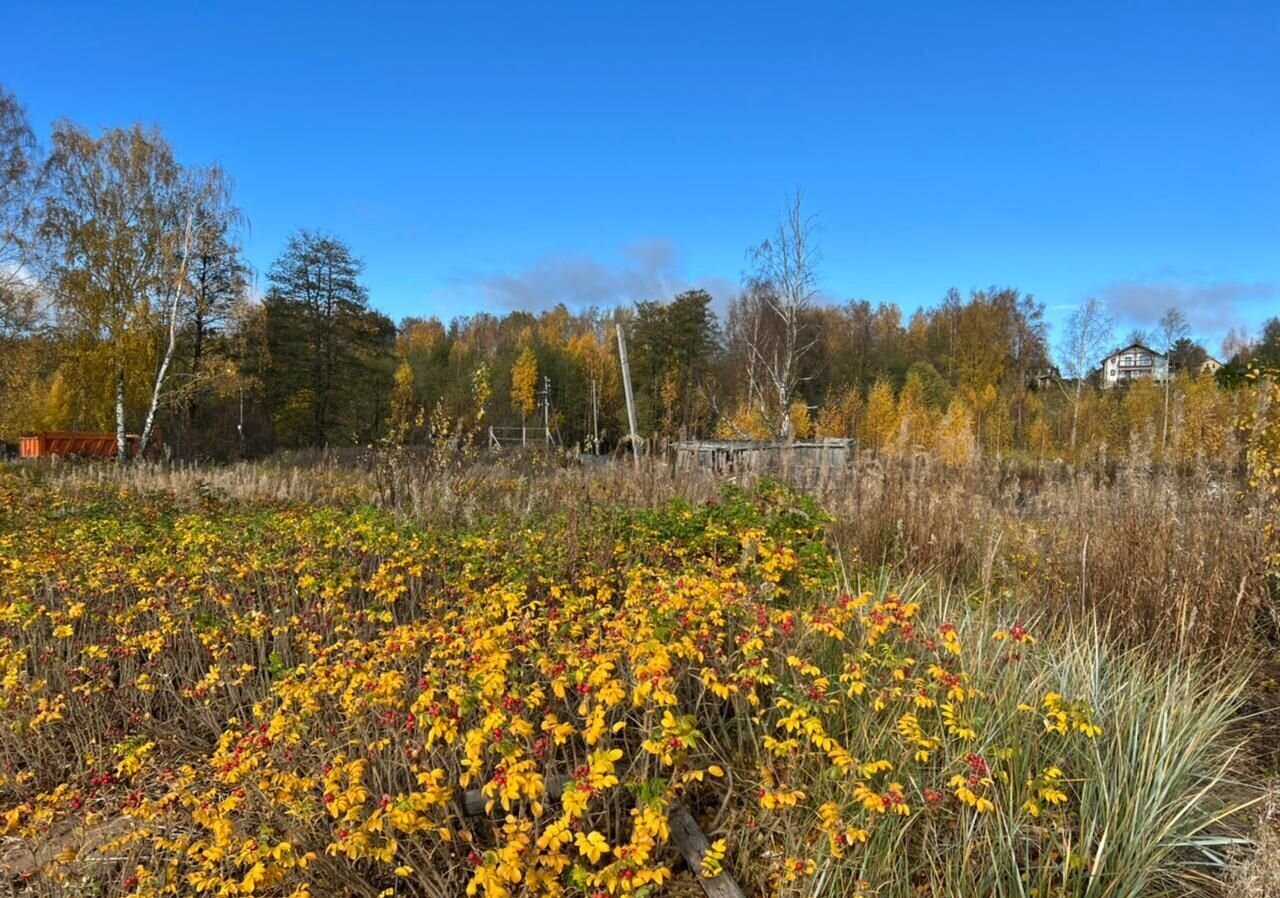 земля р-н Выборгский п Пески Полянское сельское поселение, Песочное фото 9