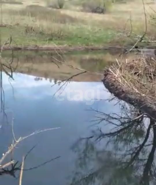 земля р-н Усть-Калманский с Верх-Слюдянка ул Большевистская Михайловский сельсовет фото 4