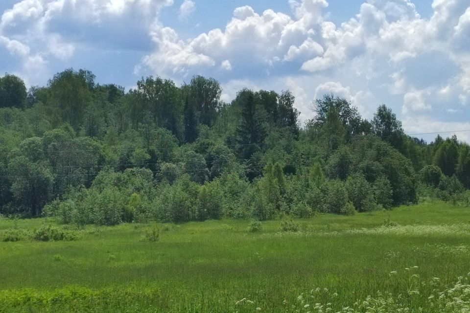 земля р-н Гагаринский деревня Максимовка фото 1