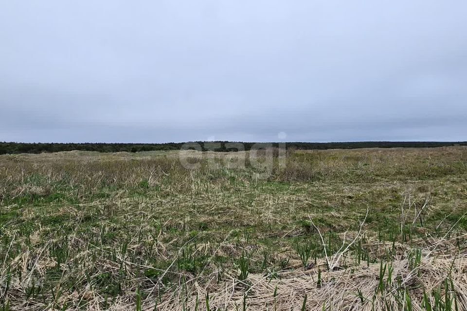 земля р-н Корсаковский село Озёрское фото 4