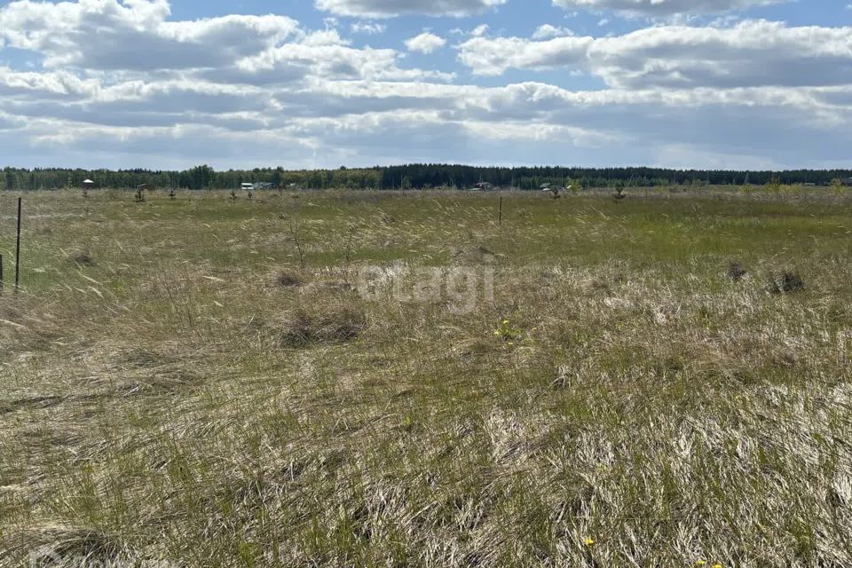 земля г Ульяновск с Луговое ул Молодежная 1 р-н Железнодорожный городской округ Ульяновск фото 2