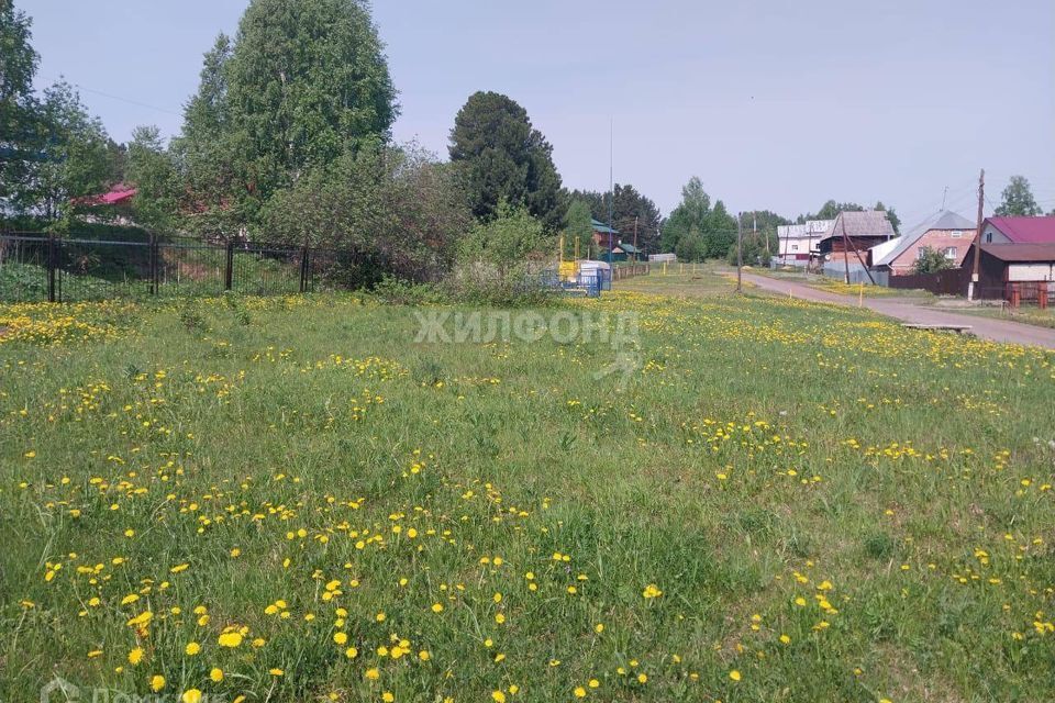 земля р-н Томский село Богашёво фото 2