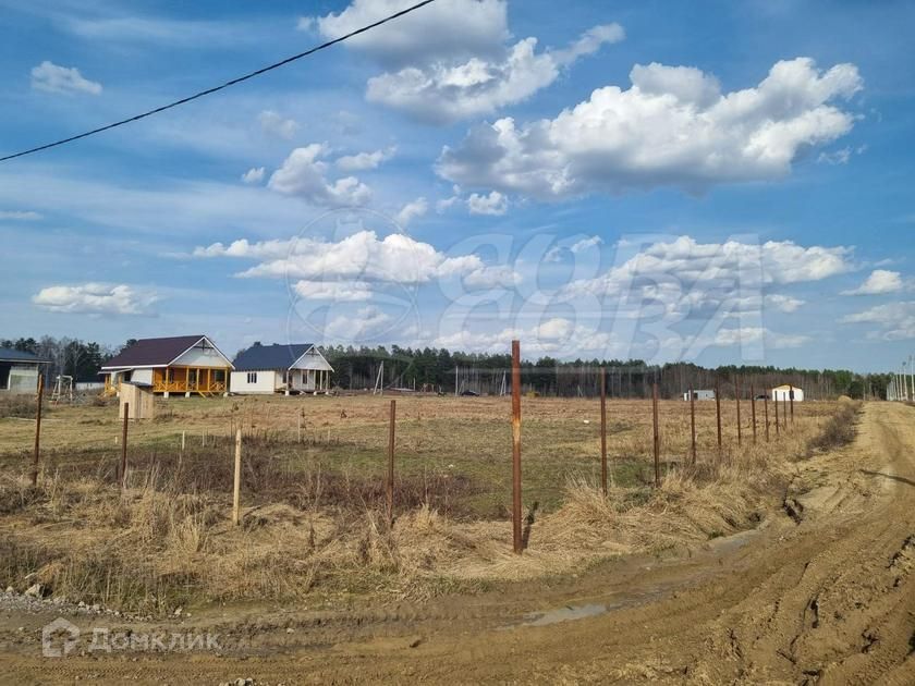 земля р-н Нижнетавдинский село Тюнево фото 2