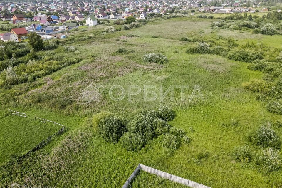 земля г Тюмень городской округ Тюмень, садовое товарищество Липовый Остров фото 3