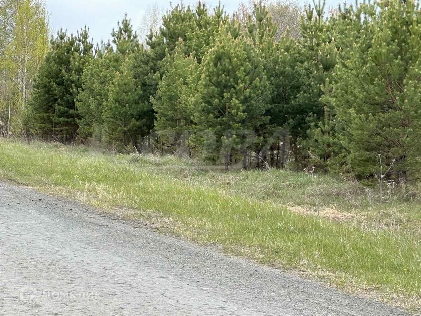 земля р-н Тюменский Салаирское муниципальное образование фото 2