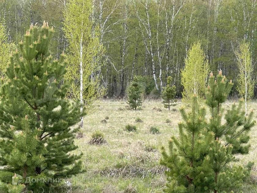 земля р-н Тюменский Салаирское муниципальное образование фото 3