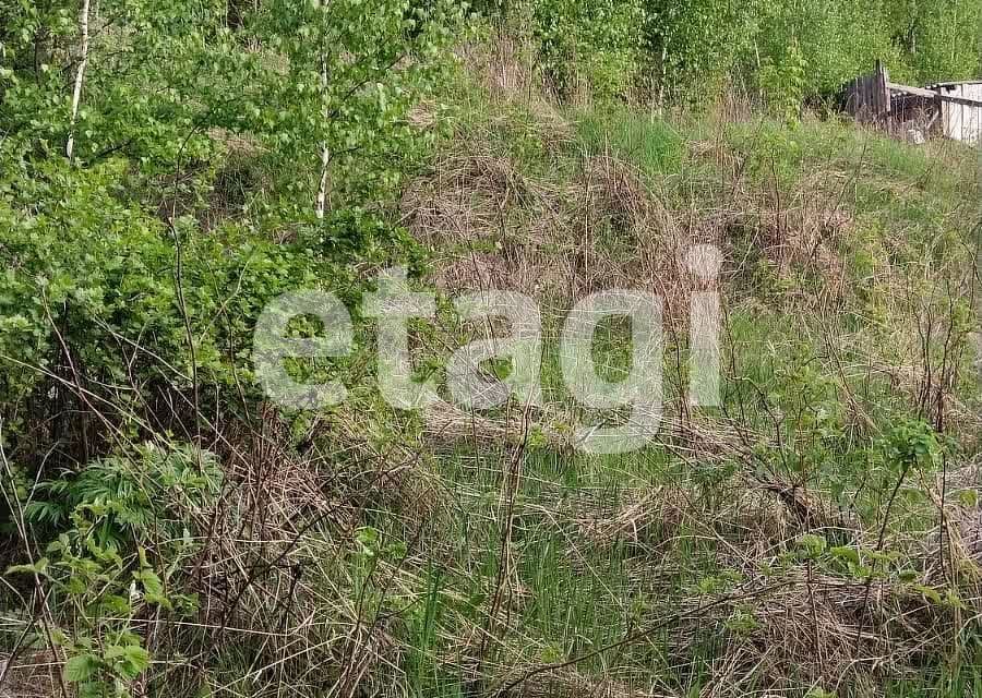 земля р-н Емельяновский садоводческое некоммерческое товарищество Родничок фото 6