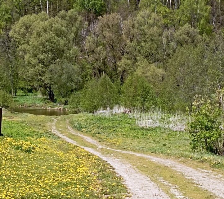 дом р-н Мишкинский село Бабаево фото 6